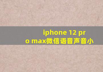 iphone 12 pro max微信语音声音小